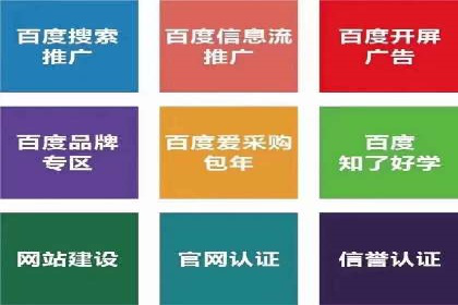 高效百度推广案例解析及优化策略